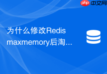 为什么修改Redis maxmemory后淘汰策略没有立即生效