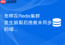 怎样在Redis集群发生脑裂后挽救未同步的增量数据