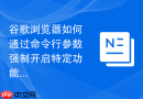 谷歌浏览器如何通过命令行参数强制开启特定功能?