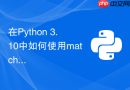在Python 3.10中如何使用match模式匹配分发文件类型？