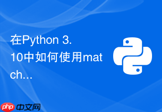 在python 3.10中如何使用match模式匹配分发文件类型?