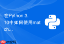 在python 3.10中如何使用match模式匹配分发文件类型？