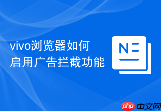 vivo浏览器如何启用广告拦截功能