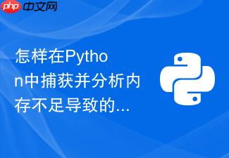 怎样在python中捕获并分析内存不足导致的oom错误