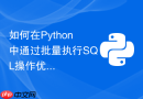 如何在Python中通过批量执行SQL操作优化数据库写入性能？