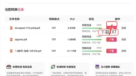 PDF怎么转TXT?结果页保存前要不要预览