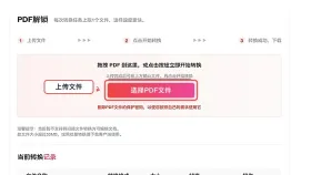 PDF怎么解除密码限制?结果页保存前要不要预览