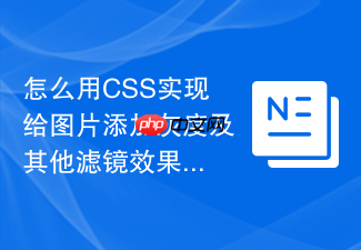 怎么用css实现给图片添加灰度及其他滤镜效果?