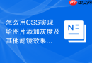 怎么用CSS实现给图片添加灰度及其他滤镜效果？