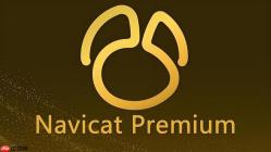 如何通过Navicat协同制定数据库灾备切换的操作手册？