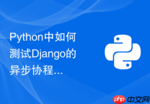 Python中如何测试Django的异步协程接口是否真正生效？
