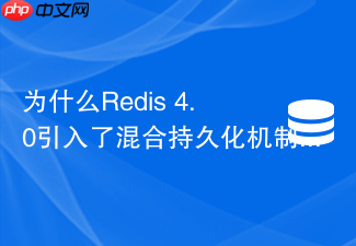 为什么redis 4.0引入了混合持久化机制