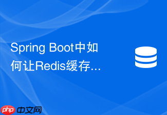 spring boot中如何让redis缓存支持存储null值防穿透