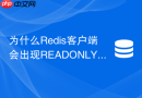 为什么Redis客户端会出现READONLY读写分离路由延迟