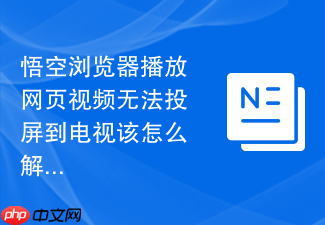 悟空浏览器播放网页视频无法投屏到电视该怎么解决
