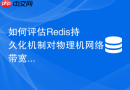 如何评估Redis持久化机制对物理机网络带宽的占用