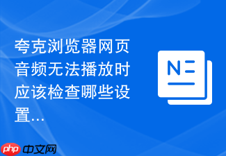 夸克浏览器网页音频无法播放时应该检查哪些设置？