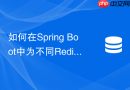 如何在Spring Boot中为不同Redis的Key配置不同序列化器
