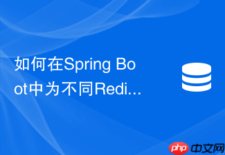 如何在spring boot中为不同redis的key配置不同序列化器