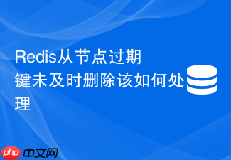 redis从节点过期键未及时删除该如何处理