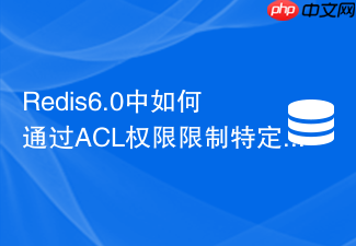 redis6.0中如何通过acl权限限制特定用户的淘汰配置