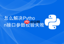 怎么解决Python接口参数校验失败