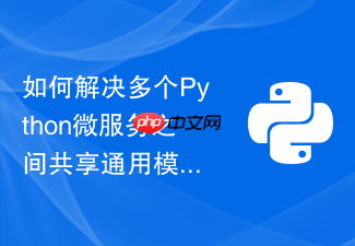 如何解决多个python微服务之间共享通用模块的环境路径问题?