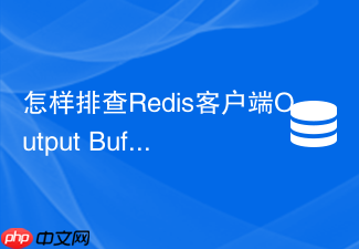 怎样排查redis客户端output buffer溢出问题