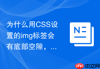 为什么用css设置的img标签会有底部空隙,怎么消除?