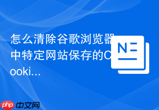 怎么清除谷歌浏览器中特定网站保存的cookie数据?