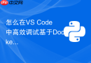 怎么在VS Code中高效调试基于Docker容器运行的Python代码？