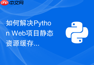 如何解决python web项目静态资源缓存