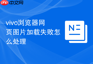 vivo浏览器网页图片加载失败怎么处理