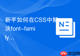 新手如何在css中解决font-family中文字体显示异常