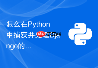 怎么在python中捕获并处理django的数据库并发更新冲突异常?