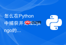 怎么在python中捕获并处理django的数据库并发更新冲突异常?
