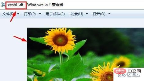 windows中TIF格式怎么打开