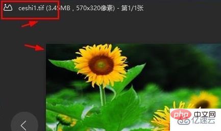 windows中TIF格式怎么打开