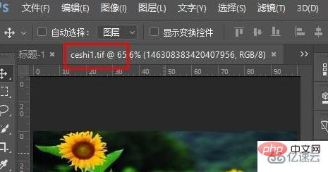 WindowsでTIF形式を開く方法