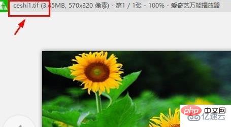 WindowsでTIF形式を開く方法