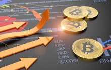 公链的生态是什么意思