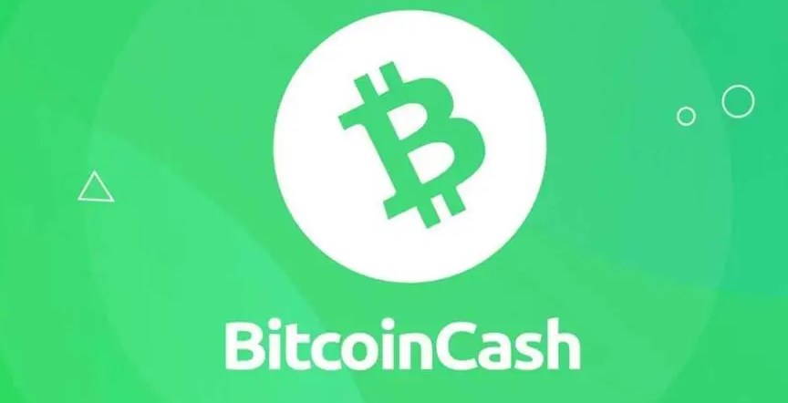 bch 화폐의 중국 이름은 무엇입니까?