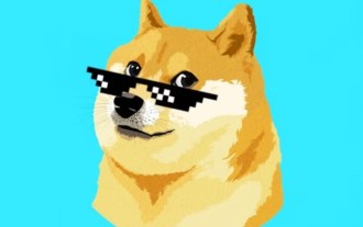 Dogecoin doge wallet usage tutorial