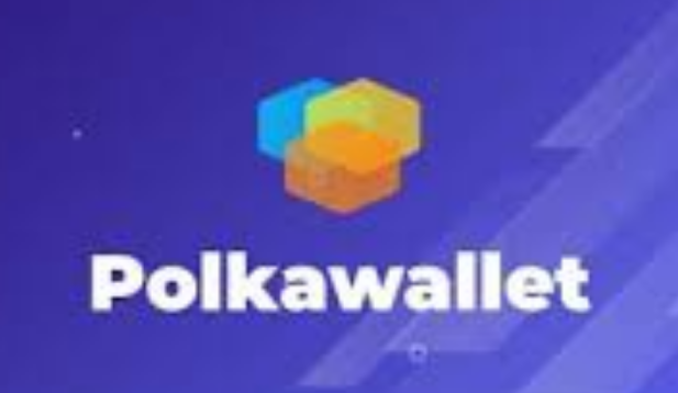 Polkawallet wallet app detailed guide and steps 2024