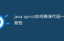 java sprict如何确保代码一致性