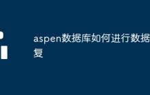 aspen数据库如何进行数据恢复