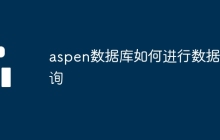 aspen数据库如何进行数据查询