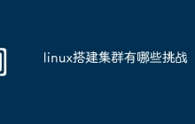 linux搭建集群有哪些挑战