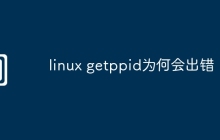 linux getppid为何会出错