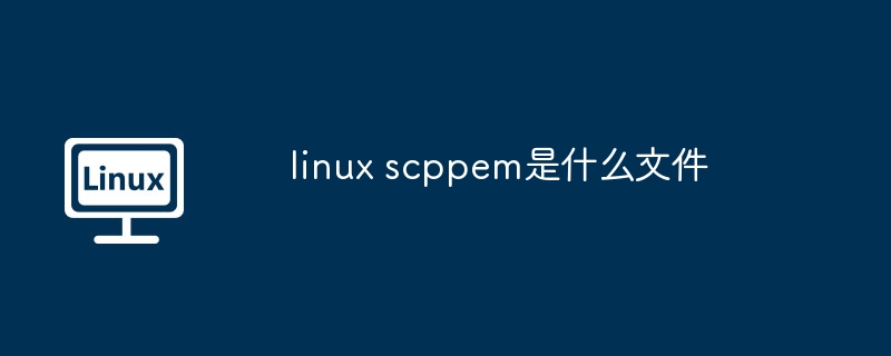 linux scppem是什么文件 - 小浪云數據